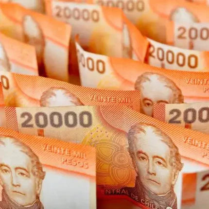 Cómo Levantar Capital a Través del Estado en Chile